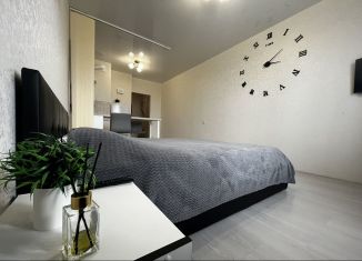 Сдаю квартиру студию, 30 м2, Тула, улица Конструктора Грязева, 4, ЖК Зеленстрой-2