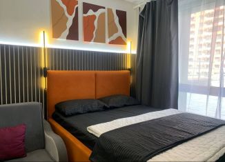 Сдаю квартиру студию, 31.3 м2, Екатеринбург, Полимерный переулок, 11