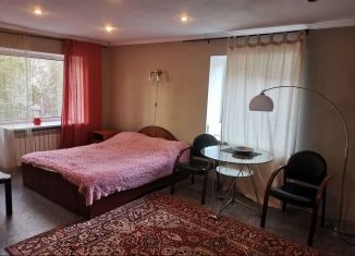 Однокомнатная квартира в аренду, 30 м2, Омск, улица Косарева, 34