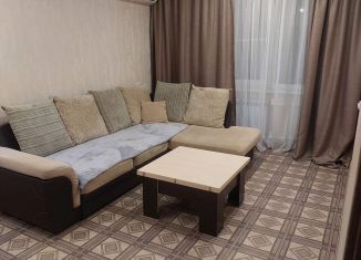 Сдается в аренду 2-ком. квартира, 46 м2, Павловск, микрорайон Гранитный, 2