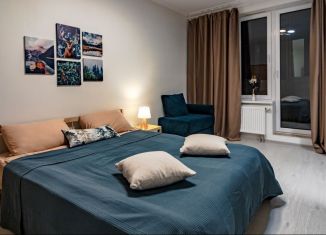 Сдается 1-ком. квартира, 34 м2, Санкт-Петербург, улица Кустодиева, 5к1, метро Проспект Просвещения
