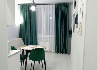 Сдаю квартиру студию, 20 м2, деревня Крёкшино, улица Медовая Долина, 1к1