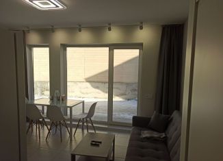 Сдаю в аренду 1-ком. квартиру, 35 м2, Арзамас, улица Пушкина, 43