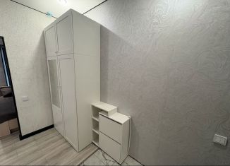 Сдам в аренду квартиру студию, 30 м2, Кингисепп, проспект Карла Маркса, 63Ак1