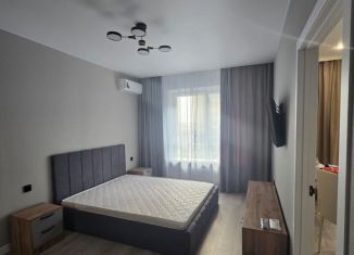 Сдам в аренду 1-комнатную квартиру, 37 м2, Краснодар, улица имени Героя Николая Шевелёва, 15, микрорайон Губернский