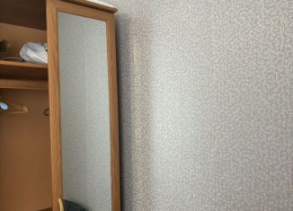 Сдается однокомнатная квартира, 32 м2, Тихвин, 1-й микрорайон, 29