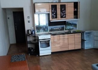 Сдается в аренду квартира студия, 32 м2, Новосибирск, улица Татьяны Снежиной, 39/1, Октябрьский район