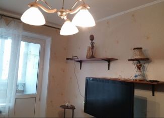 Сдается 1-ком. квартира, 45 м2, Нижний Новгород, улица Германа Лопатина, 3, Нижегородский район