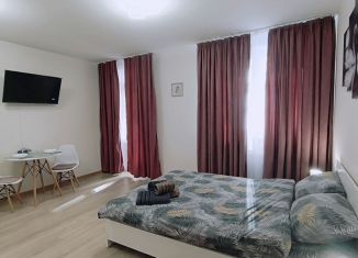 Сдается квартира студия, 30 м2, Пермь, улица Максима Горького, 86, Свердловский район