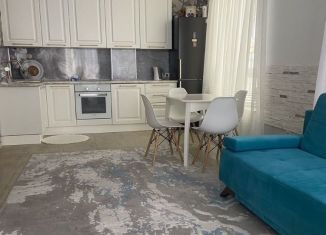 Аренда однокомнатной квартиры, 50 м2, Сочи, улица Яна Фабрициуса, 2/27А, микрорайон Яна Фабрициуса