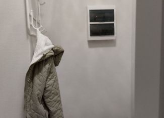 Сдается в аренду 1-комнатная квартира, 33 м2, Кстово