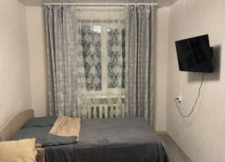 1-комнатная квартира в аренду, 34 м2, деревня Новое Девяткино, Капральская улица, 19