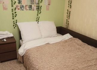 Трехкомнатная квартира в аренду, 57 м2, Нижний Новгород, Фруктовая улица, 5к2, Нижегородский район