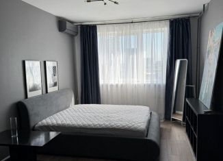 Сдача в аренду 1-ком. квартиры, 50 м2, Краснодар, Промышленная улица, 33, микрорайон Центральный