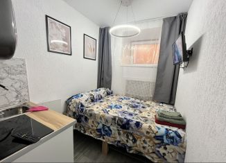 Сдаю в аренду квартиру студию, 13 м2, Санкт-Петербург, Греческий проспект, 5, Центральный район