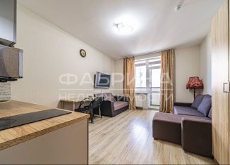 Сдача в аренду квартиры студии, 25 м2, посёлок Шушары, Вишерская улица, 2