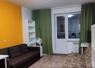Сдается квартира студия, 30 м2, Новосибирск, улица Фрунзе, 49/2, Центральный район