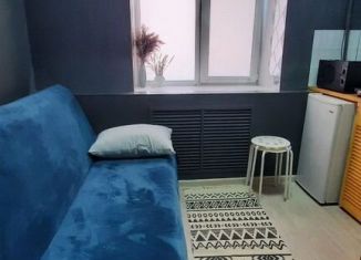 Сдам в аренду квартиру студию, 14 м2, Екатеринбург, Самолётная улица, 3к1
