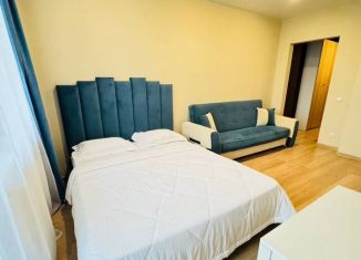 Сдам квартиру студию, 35 м2, Екатеринбург, улица Крестинского, 35