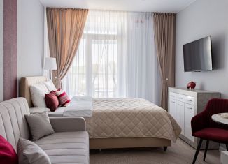 Аренда квартиры студии, 24 м2, Сочи, Ясногорская улица, 16/2к8, микрорайон Бытха