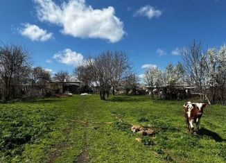 Продам дом, 56 м2, Крым, Ореховая улица, 54