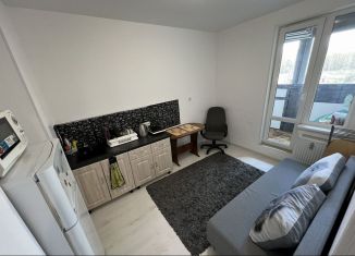 Сдается однокомнатная квартира, 30.8 м2, Санкт-Петербург, Планерная улица, 95к1, ЖК Нью Тайм