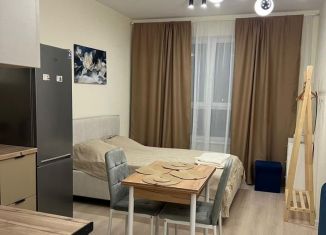 Сдается квартира студия, 29 м2, Санкт-Петербург, Планерная улица, 87к1, метро Комендантский проспект