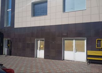 Помещение свободного назначения на продажу, 365 м2, Челябинск, Северная улица, 48, Центральный район