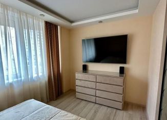 Продаю 1-ком. квартиру, 51.4 м2, Екатеринбург, улица Блюхера, 45, Кировский район