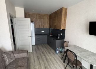 1-комнатная квартира в аренду, 45 м2, Краснодар, Старокубанская улица, 123, микрорайон Черемушки