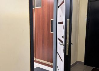 Продам квартиру со свободной планировкой, 32.7 м2, посёлок Молодёжный, Спецстроевская улица, 19