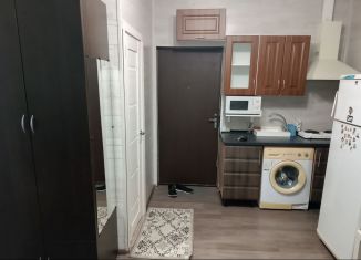 Продажа квартиры студии, 16 м2, Краснодар, Промышленная улица, 25/3, микрорайон Центральный