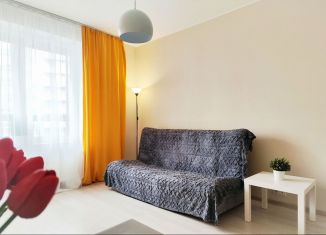 Сдается квартира студия, 26 м2, Мурино, Скандинавский проезд, 8к1, ЖК Эланд