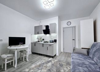 Аренда квартиры студии, 21 м2, Сертолово, Центральная улица, 13