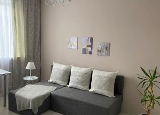 Сдается однокомнатная квартира, 30 м2, Нижний Новгород, улица Пискунова, 3к4