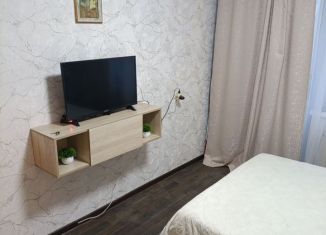 Сдаю 1-ком. квартиру, 45 м2, Псков, Петровская улица, 12