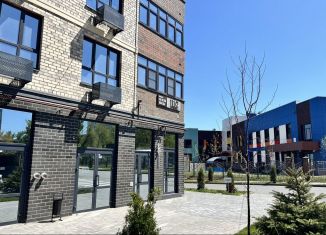 Сдам в аренду помещение свободного назначения, 52.7 м2, Ростов-на-Дону, проспект 40-летия Победы, 111/2с1, Пролетарский район