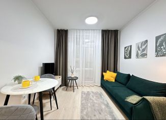 Сдам квартиру студию, 19 м2, Санкт-Петербург, Арцеуловская аллея, 7к1, метро Комендантский проспект