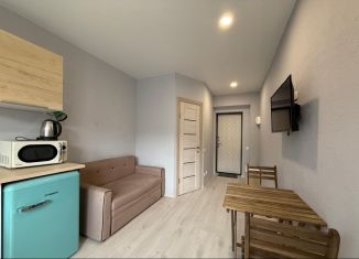 Продается 1-комнатная квартира, 17.4 м2, поселок городского типа Массандра, улица Умельцев, 1С, ЖК Долина Гор