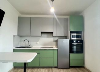 Продаю квартиру студию, 26.5 м2, Санкт-Петербург, Чарушинская улица, 22к1, муниципальный округ Полюстрово