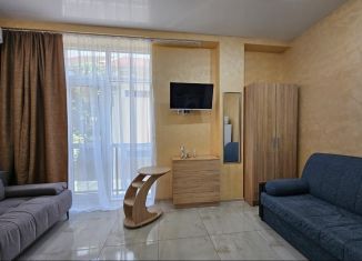 Квартира в аренду студия, 23 м2, Сочи, Санаторная улица, 9к1, микрорайон Новый Сочи