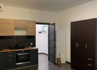 Продам квартиру студию, 24.7 м2, Санкт-Петербург, проспект Ветеранов, 196, ЖК Солнечный Город. Резиденции
