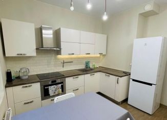 Продается однокомнатная квартира, 43 м2, Санкт-Петербург, проспект Кузнецова, 11к2, Красносельский район