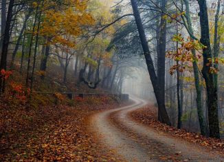 Земельный участок на продажу, 8 сот., деревня Юкки