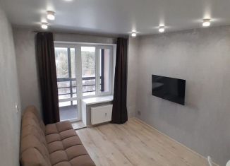 Аренда 1-ком. квартиры, 46 м2, Сыктывкар, Петрозаводская улица, 47, район Орбита