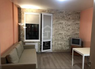 Продажа квартиры студии, 22.6 м2, Санкт-Петербург, метро Улица Дыбенко, улица Крыленко, 1к1с6