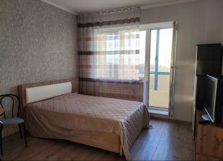 Сдаю в аренду квартиру студию, 30 м2, Санкт-Петербург, Планерная улица, 63к1, метро Комендантский проспект