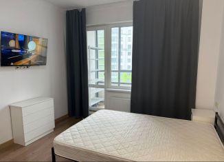 Сдается квартира студия, 24 м2, посёлок Шушары, Старорусский проспект, 8к2