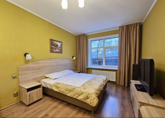 Сдается в аренду квартира студия, 30 м2, Санкт-Петербург, улица Савушкина, 104
