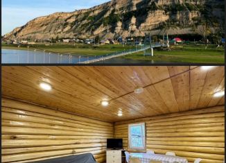 Сдача в аренду дома, 40 м2, деревня Таш-Асты, Центральная улица, 30А